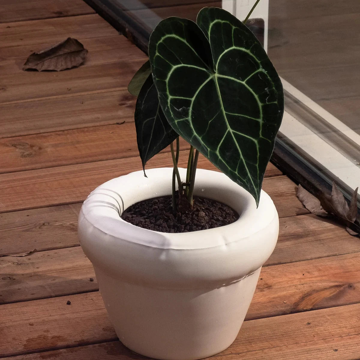 Pierre Ceramic Planter