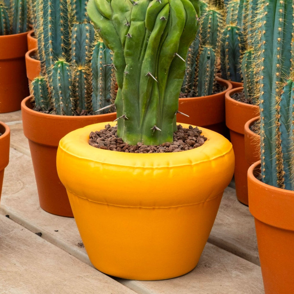 Pierre Ceramic Planter