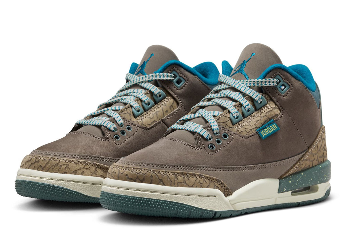 Air Jordan 3 Retro (GS) "Outside”