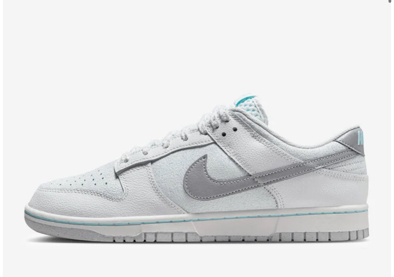 Nike Dunk Low Retro SE “Winter Storm"