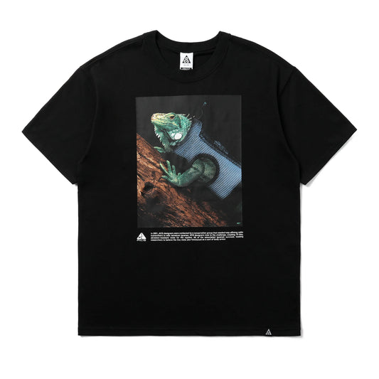 Nike ACG T-Shirt “Iguana”