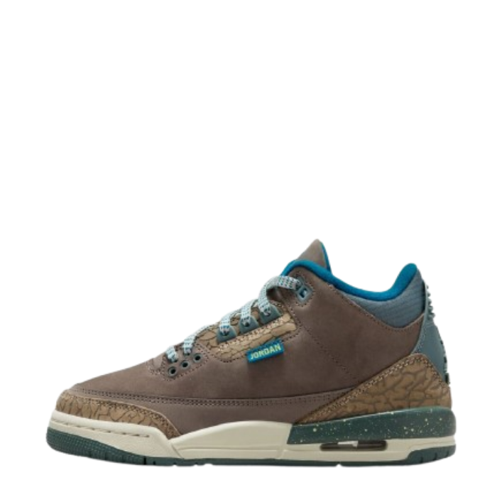 Air Jordan 3 Retro (GS) "Outside”