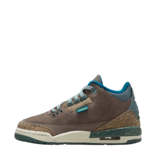 Air Jordan 3 Retro (GS) "Outside”