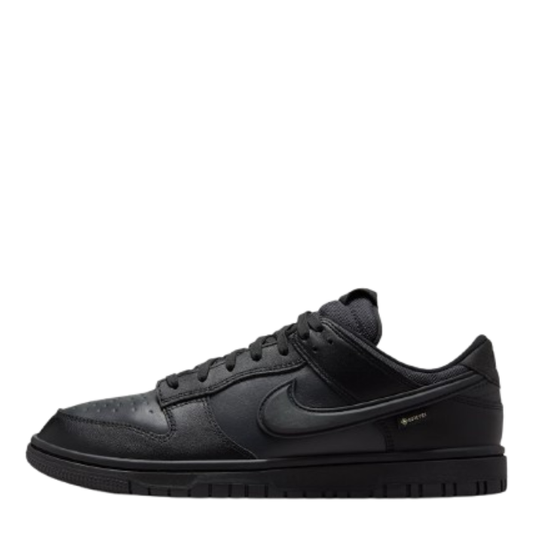 Nike Dunk Low GTX