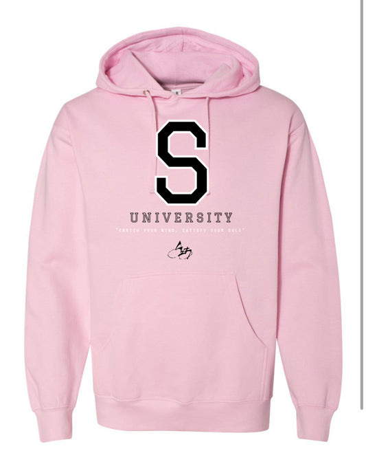 S23 Studiiyo University Hoodie "Pink"